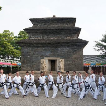 A group of student performing karate moves for a picture